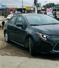 تويوتا كورولا